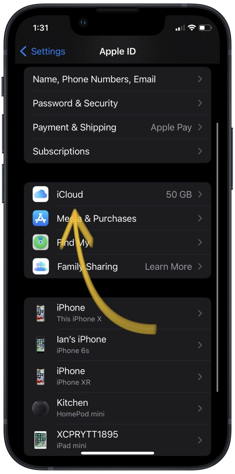 setting up your apple id stuck iphone 13