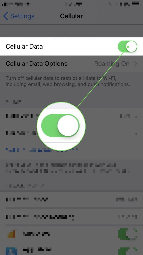 make sure cellular data switch is turned on