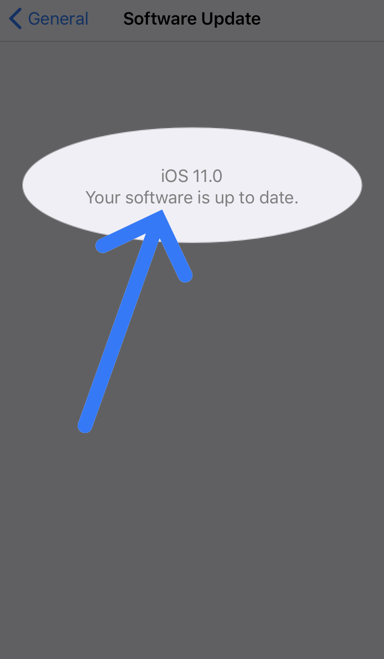 iOS 11.0 software is up to date