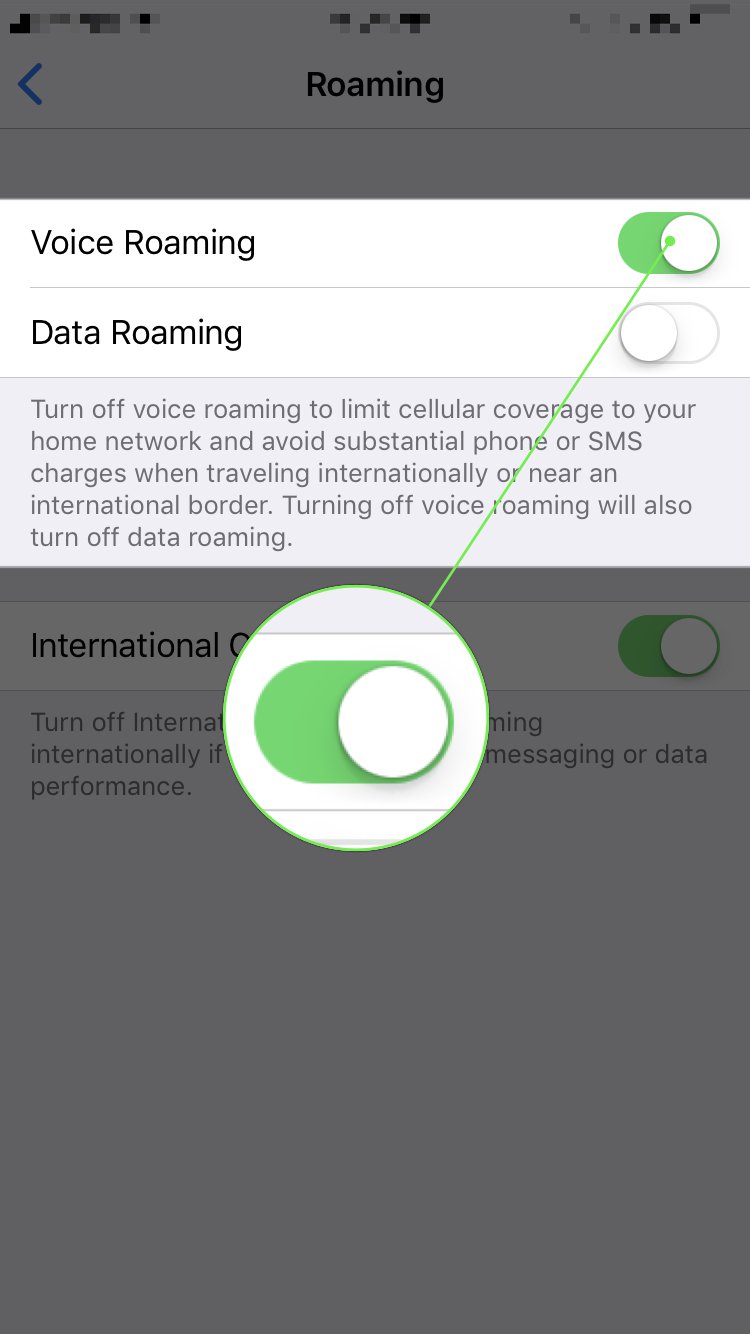 turn on switch next to voice roaming