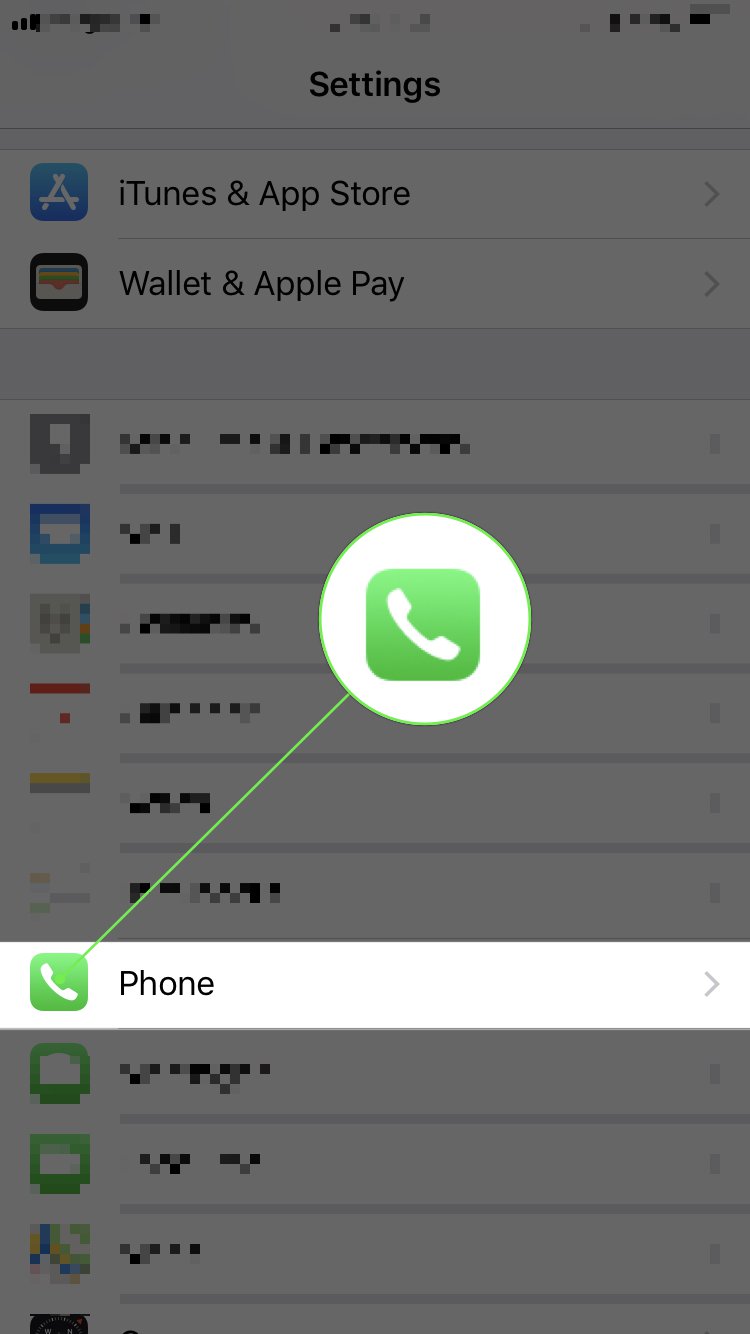 tap on phone in iPhone settings app