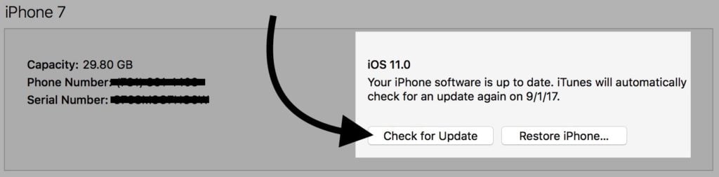 check for update itunes software update
