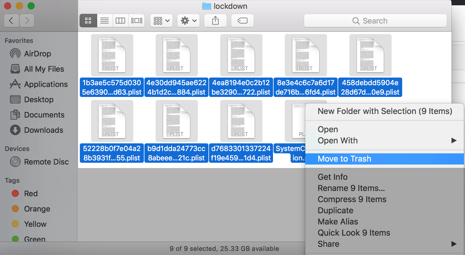 delete lockdown folder files