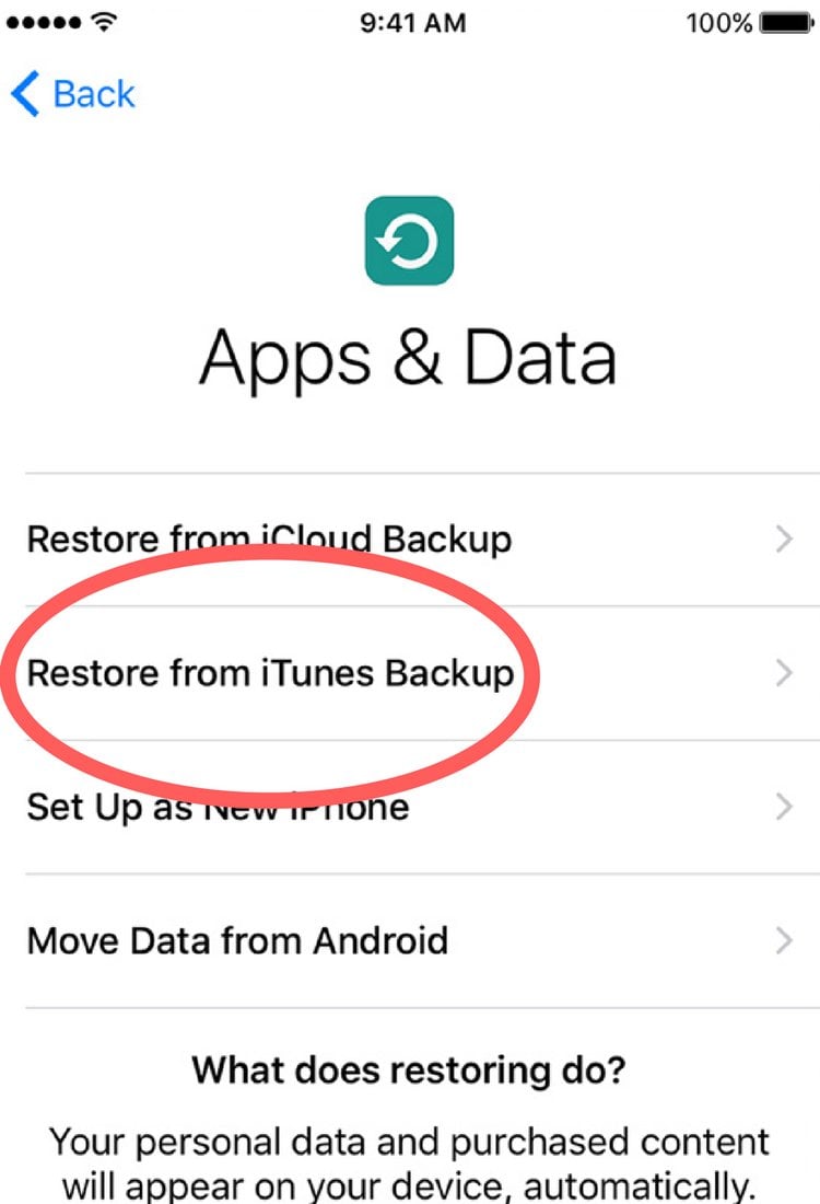 restore from itunes backup