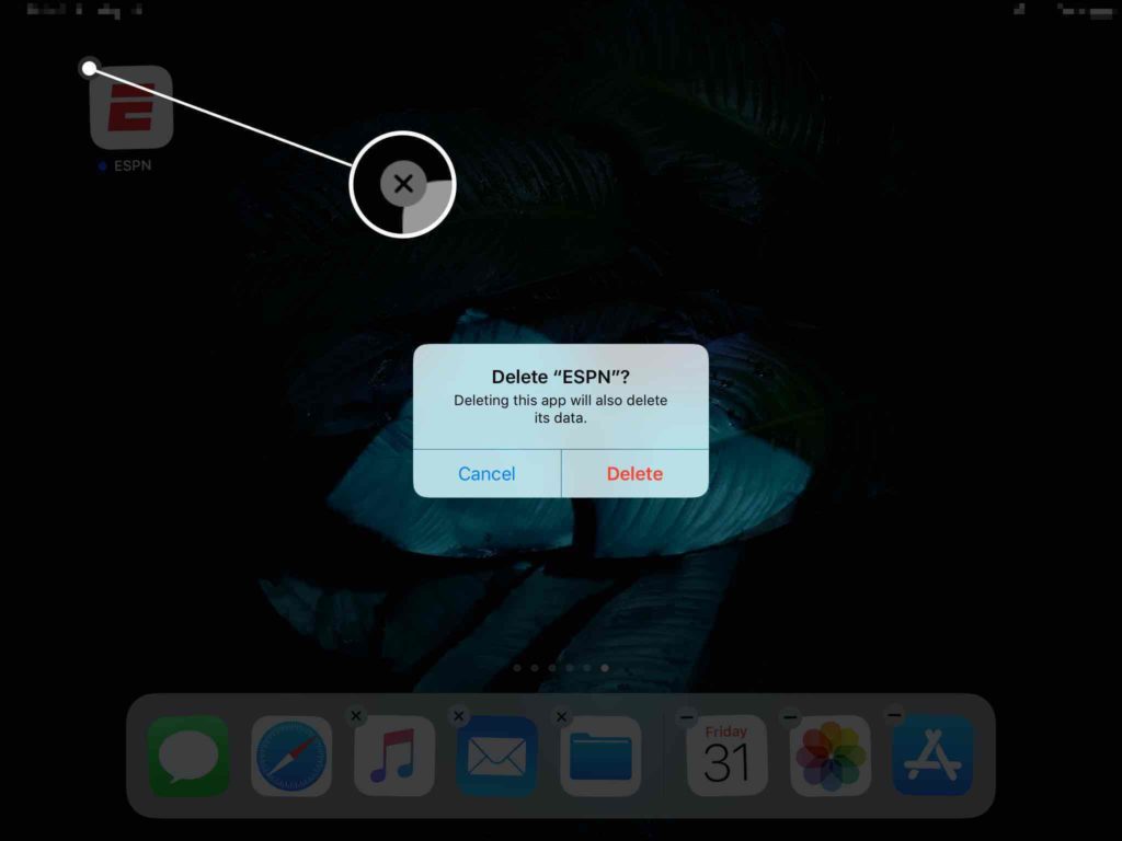 delete ipad app