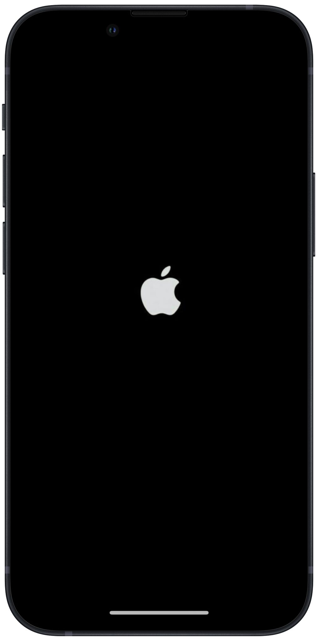 display not working on iphone 11