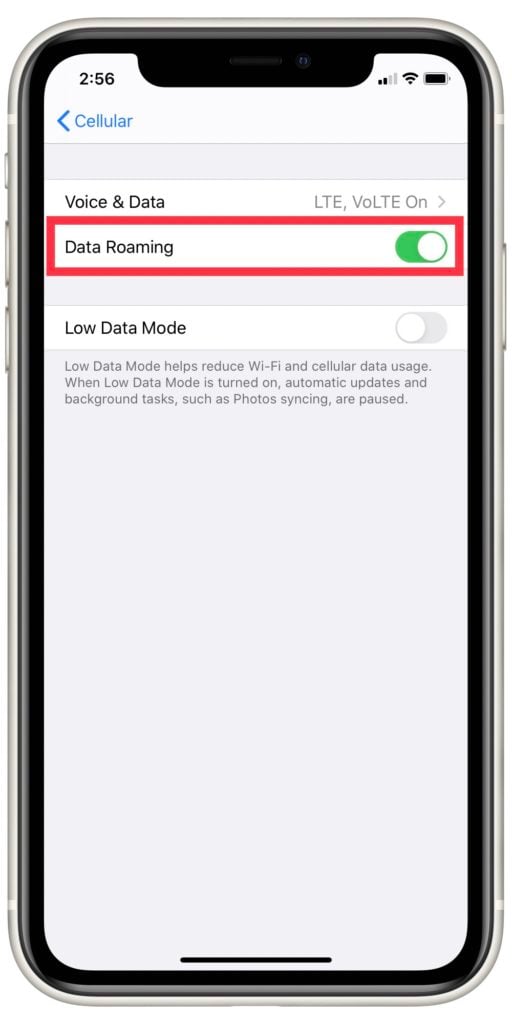 Turn Data Roaming on on iPhone