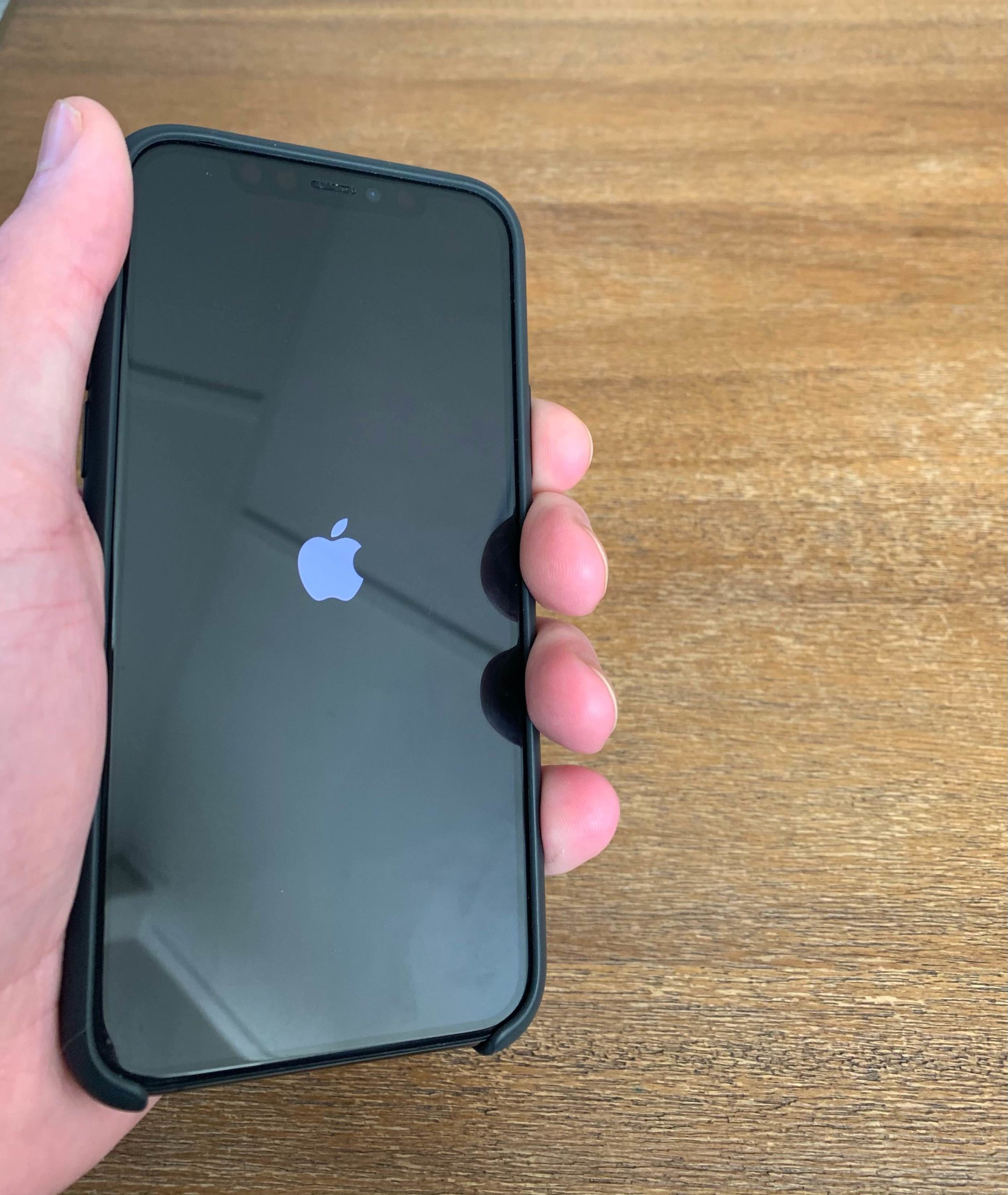 hold iphone 11 button side button until apple logo appears