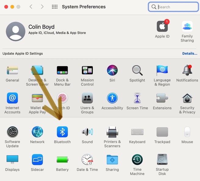 Bluetooth in Mac System Preferences