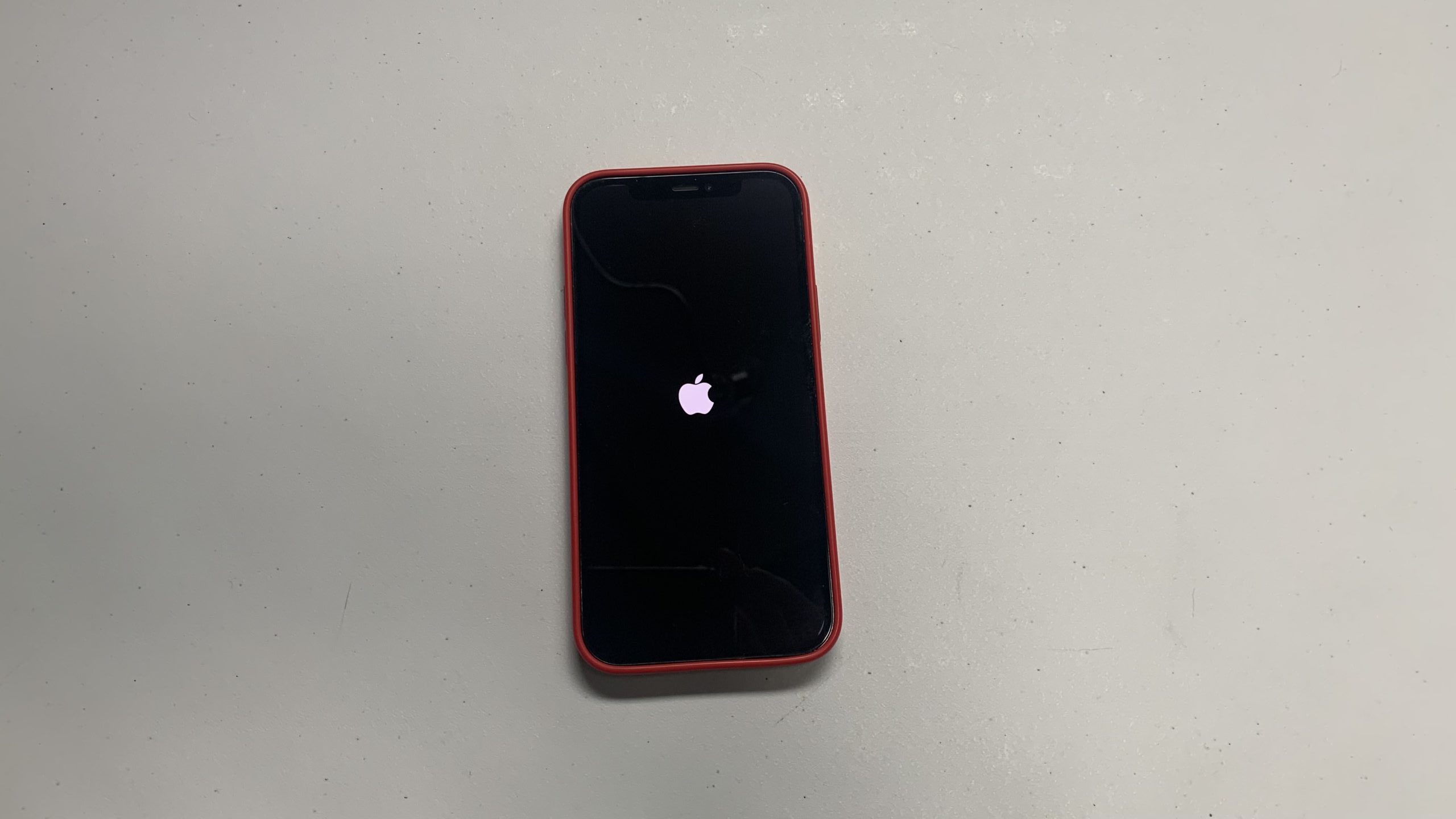 apple logo iPhone 12