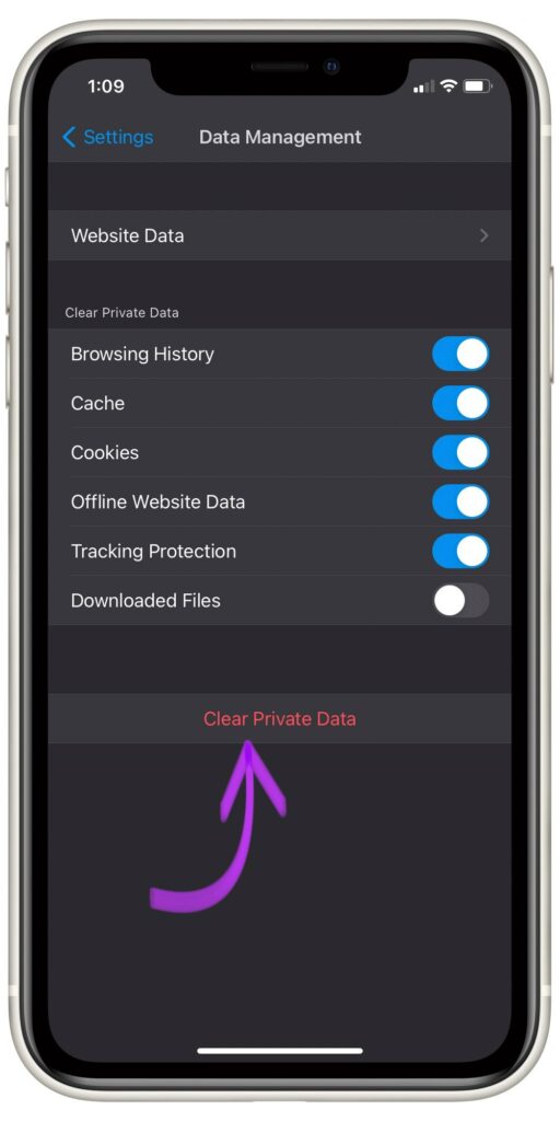 Clear Private Data