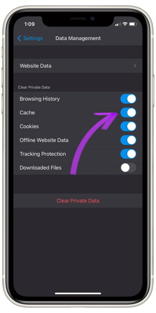 Data Management Cache Switch