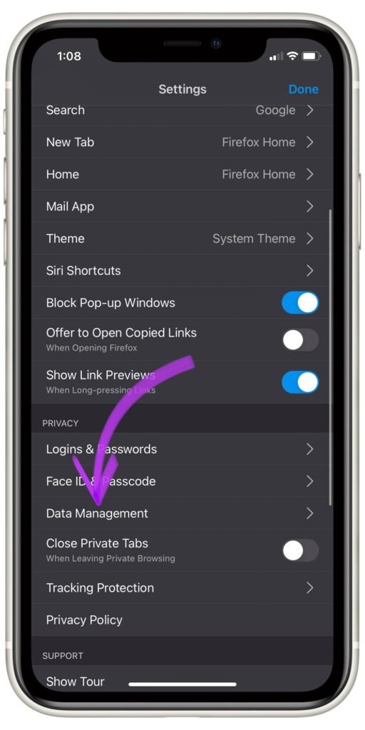 Firefox Settings Data Management